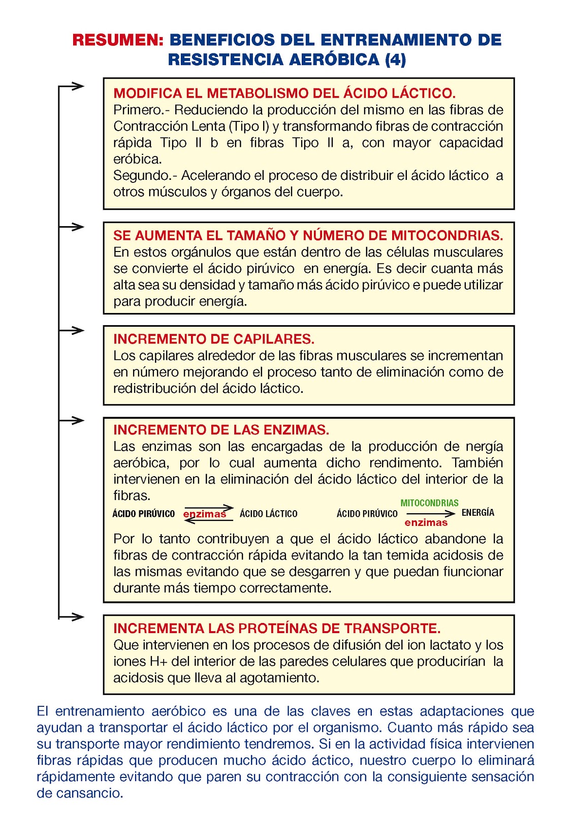 En acido lactico cuerpo el produce se como